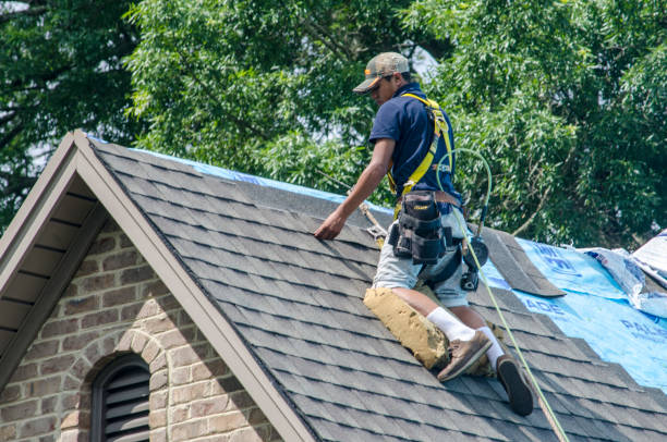 Best Gutter Installation and Roofing  in New Britain, CT